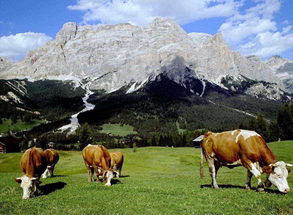 Dolomites Apartments Ciasa Vally サン・カッシアーノ エクステリア 写真